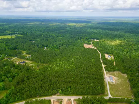 00 George Wise Rd, Carriere, MS 39426