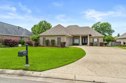 11 Cambrian, Petal, MS 39465