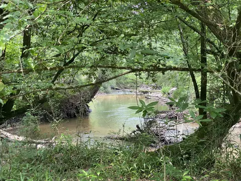 60 77 Acre Mapp Turner Rd, Oak Vale, MS 39656