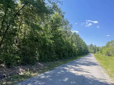 0 Kittrell Rd, Beaumont, MS 39423 photo 5