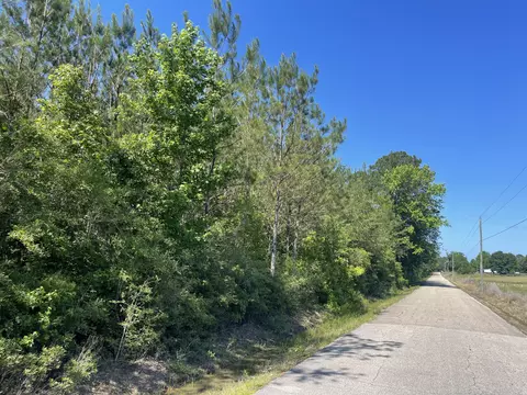0 Kittrell Rd, Beaumont, MS 39423 photo 4