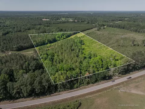 25 Acres Hwy 42, Bassfield, MS 39421