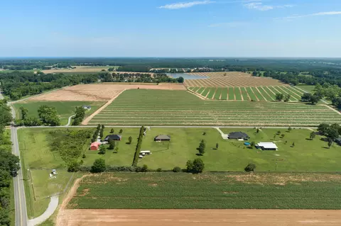 View/Area - 128 Henry Eubanks Rd, Lucedale, MS 39452 photo 2 of 6
