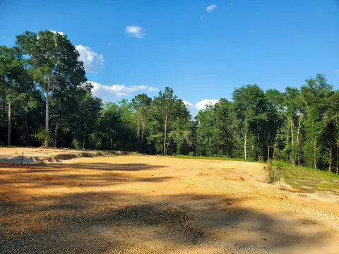 0 Cedar Grove Rd, Petal, MS 39465