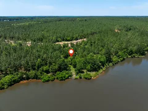 Lot #81 Red Wiggler Way, Lumberton, MS 39455