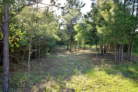 000 Claire Ln, Ellisville, MS 39437