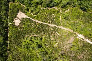 10 Acres New York Rd, Brooklyn, MS 39425