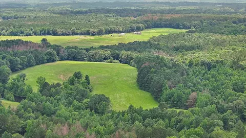 View/Area - 243 Hosey Rd, Magee, MS 39111 photo 13 of 23