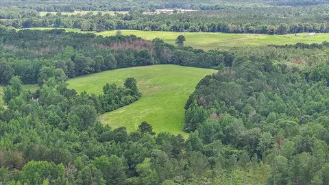 View/Area - 243 Hosey Rd, Magee, MS 39111 photo 12 of 23