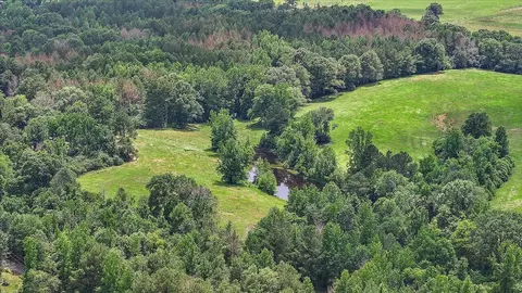 View/Area - 243 Hosey Rd, Magee, MS 39111 photo 6 of 23
