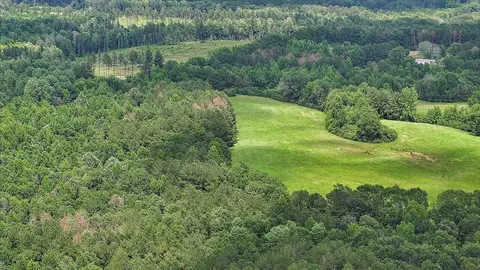 View/Area - 243 Hosey Rd, Magee, MS 39111 photo 10 of 23