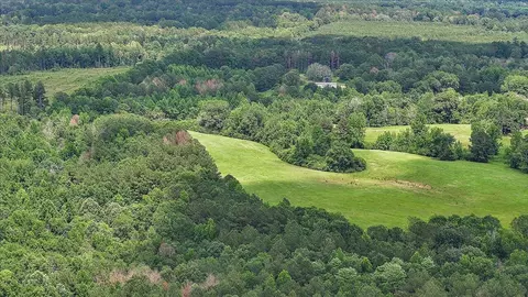 View/Area - 243 Hosey Rd, Magee, MS 39111 photo 11 of 23