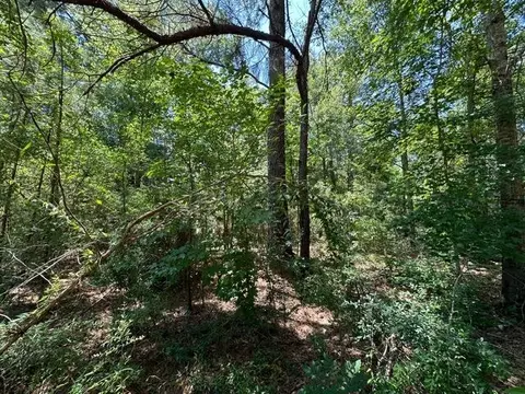 826 Purvis To Baxterville Rd, Purvis, MS 39475