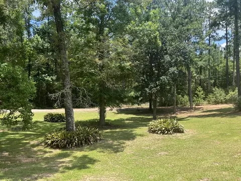 81 J Barnes Rd, Purvis, MS 39475 photo 5