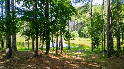 13 Timber Rdg Dr, Laurel, MS 39443 photo 79
