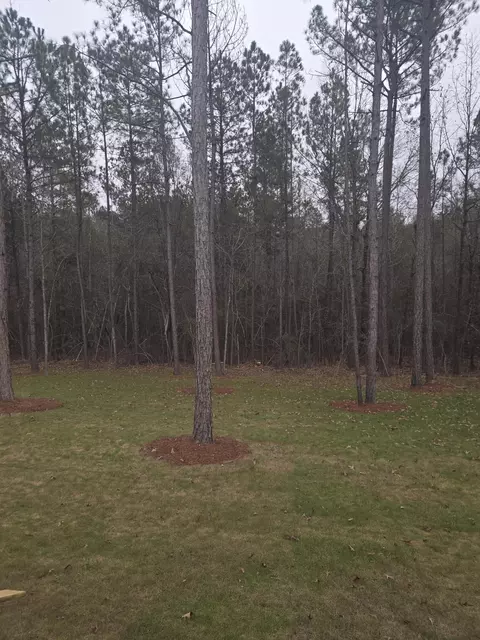72 Stonebridge, Petal, MS 39465 photo 24