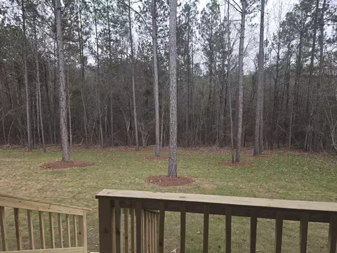 72 Stonebridge, Petal, MS 39465 photo 23