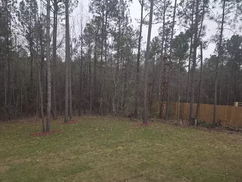 72 Stonebridge, Petal, MS 39465 photo 26