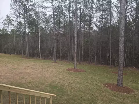 72 Stonebridge, Petal, MS 39465 photo 25