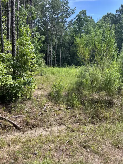 00 Maple Rd, Petal, MS 39465