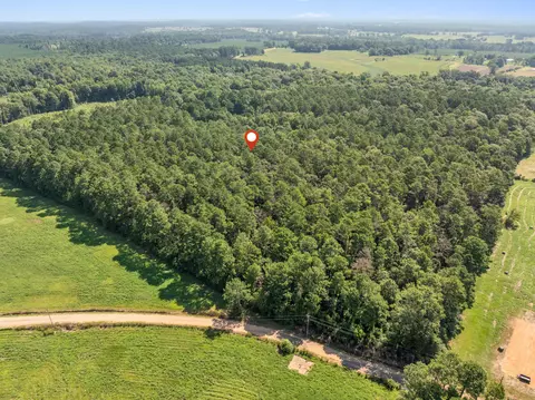 00 Evans Rd, Collins, MS 39428 photo 15