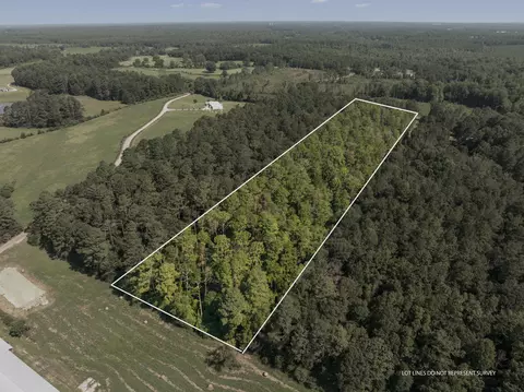 00 Evans Rd, Collins, MS 39428 photo 3