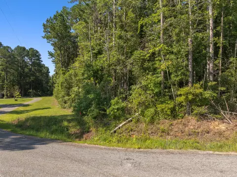 00 Evans Rd, Collins, MS 39428 photo 8