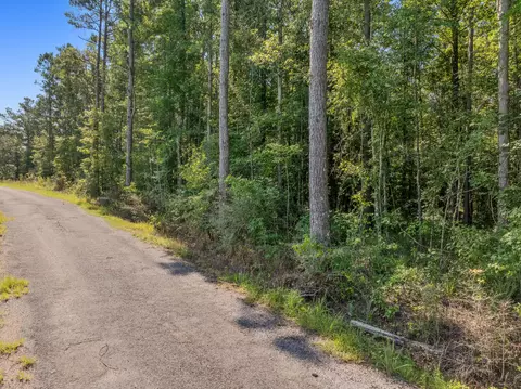 00 Evans Rd, Collins, MS 39428 photo 6
