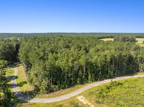 00 Evans Rd, Collins, MS 39428 photo 12