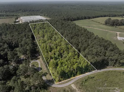 00 Evans Rd, Collins, MS 39428