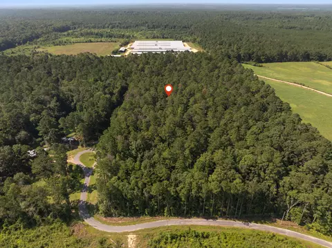 00 Evans Rd, Collins, MS 39428 photo 13