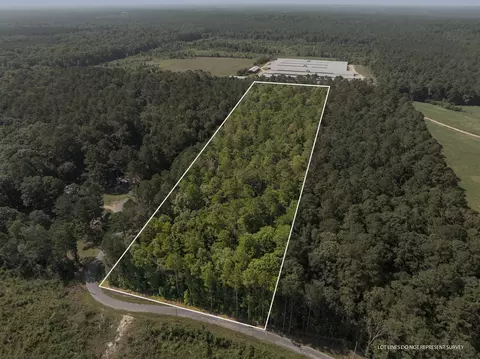 00 Evans Rd, Collins, MS 39428 photo 2