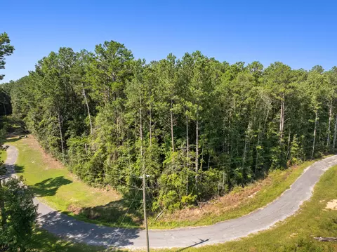00 Evans Rd, Collins, MS 39428 photo 9