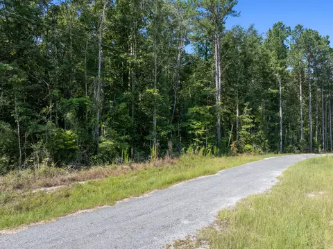 00 Evans Rd, Collins, MS 39428 photo 7