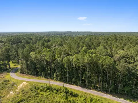 00 Evans Rd, Collins, MS 39428 photo 11