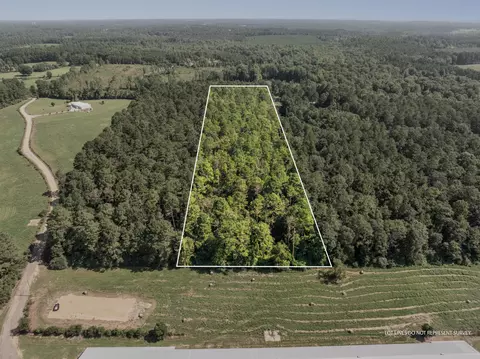 00 Evans Rd, Collins, MS 39428 photo 4