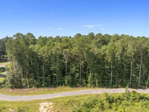 00 Evans Rd, Collins, MS 39428 photo 10