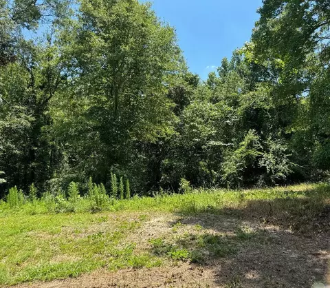 00 Huddleston Rd, Sandersville, MS 39477