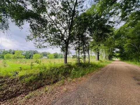 256 Jarrell, Kokomo, MS 39643 photo 3