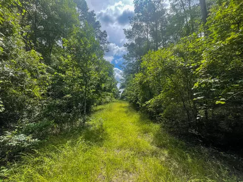 40 Deer Mdw, Sumrall, MS 39482