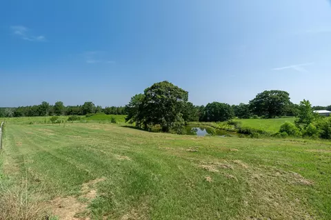 185 Friendship Rd, Carson, MS 39427 photo 27