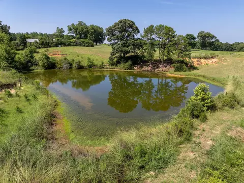185 Friendship Rd, Carson, MS 39427 photo 28