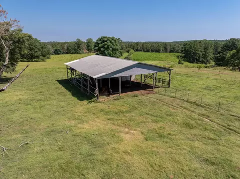 185 Friendship Rd, Carson, MS 39427 photo 32
