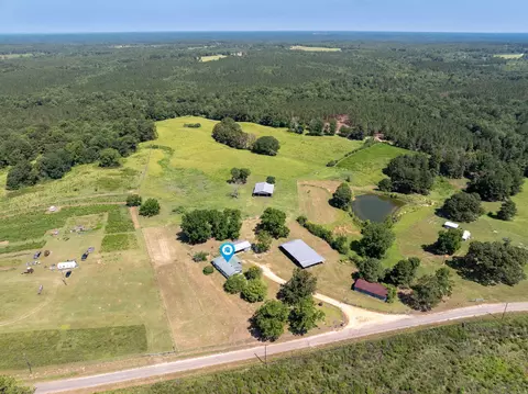 185 Friendship Rd, Carson, MS 39427 photo 30