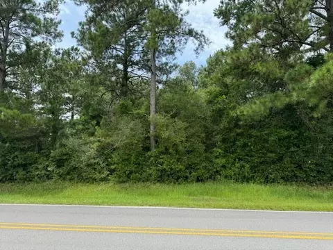 00 Oakdale Church Rd, Seminary, MS 39479