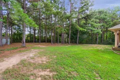 185 Latigo Loop, Sumrall, MS 39482 photo 40