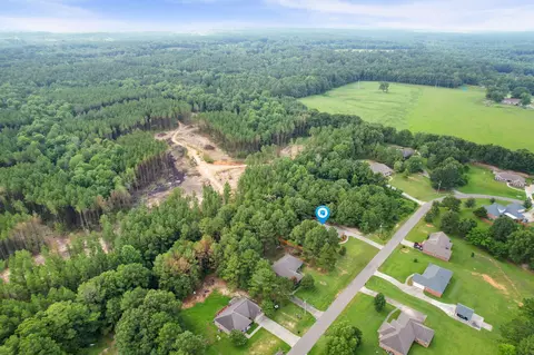 185 Latigo Loop, Sumrall, MS 39482 photo 41