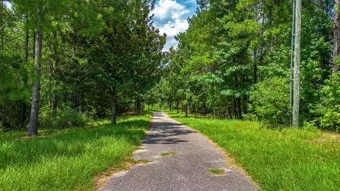 34 Freeman Rd, Richton, MS 39476 photo 41