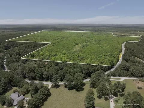 00 Beat 4 Shubuta Rd, Waynesboro, MS 39367