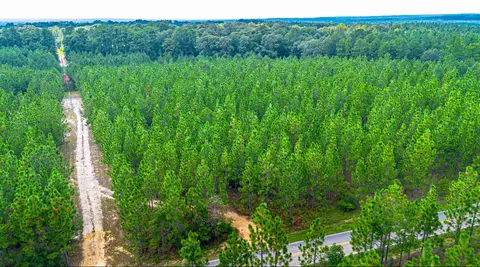 000 Tatum Camp Rd, Purvis, MS 39475